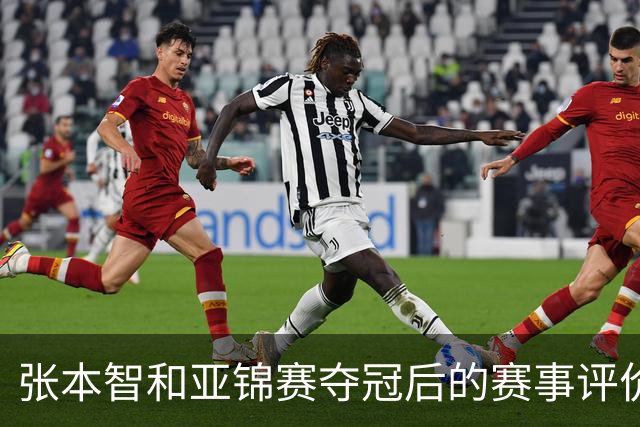 张本智和亚锦赛夺冠后的赛事评价及其意义